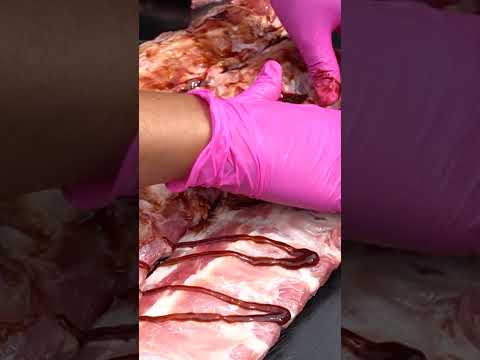 GLAZE  - Longjob Profi